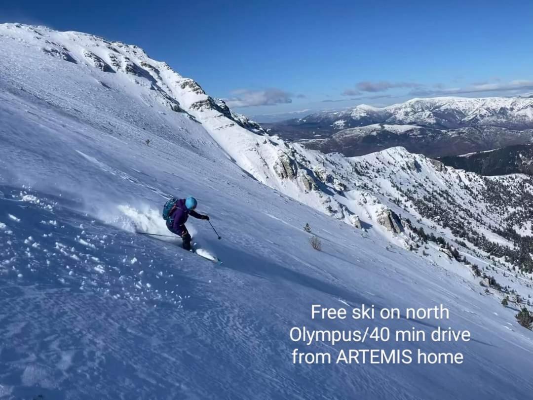 Artemis Home Petra  Екстер'єр фото